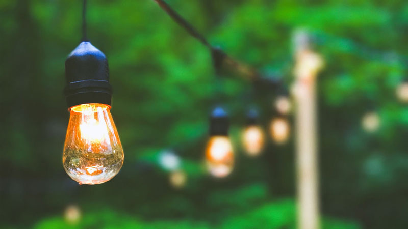 رشد استارتاپ